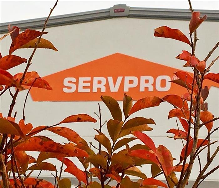 servpro fall leaves